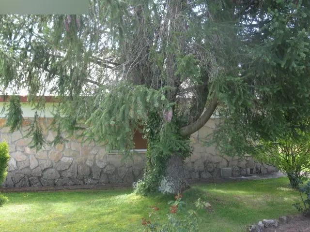 Vivienda en Riaza