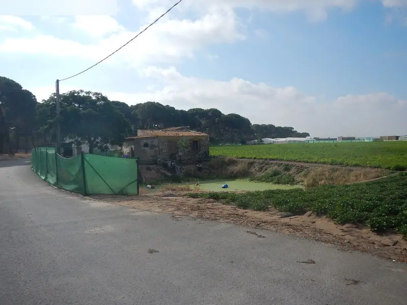 Finca rústica en Sanlúcar de Barrameda