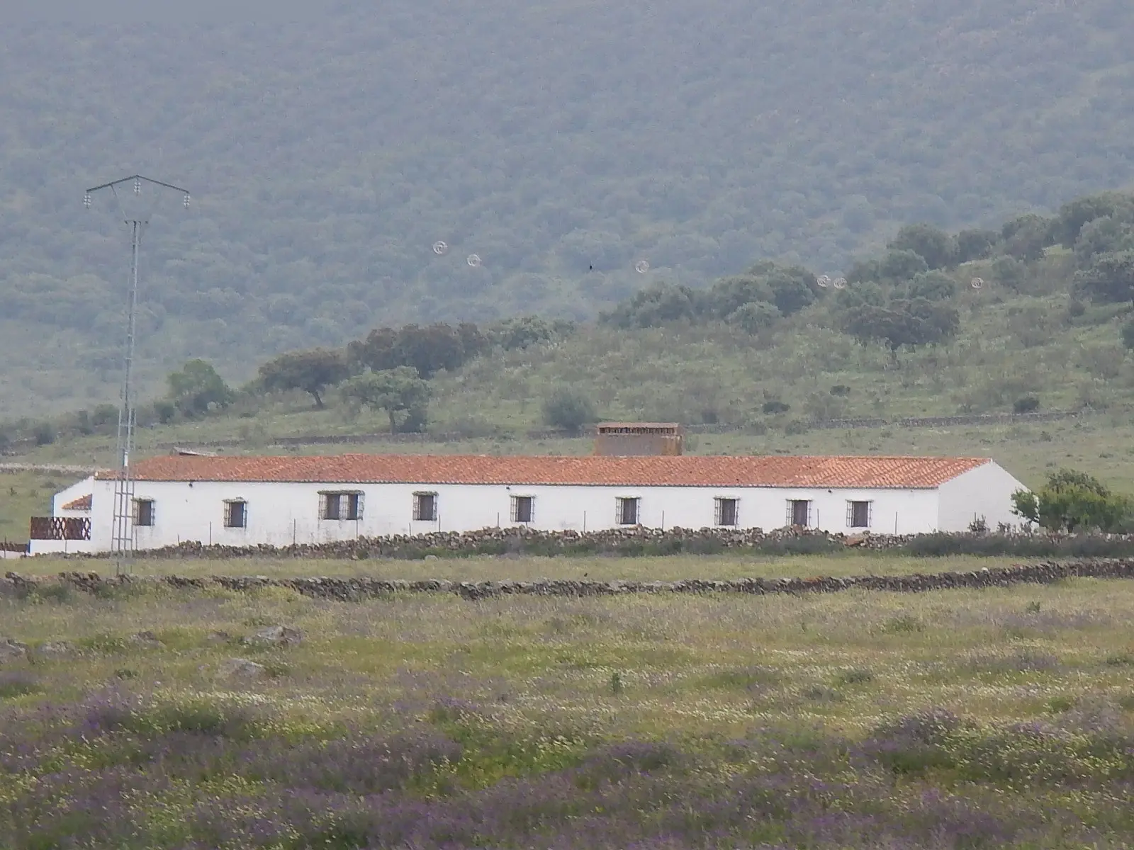 Finca rústica en Olivenza