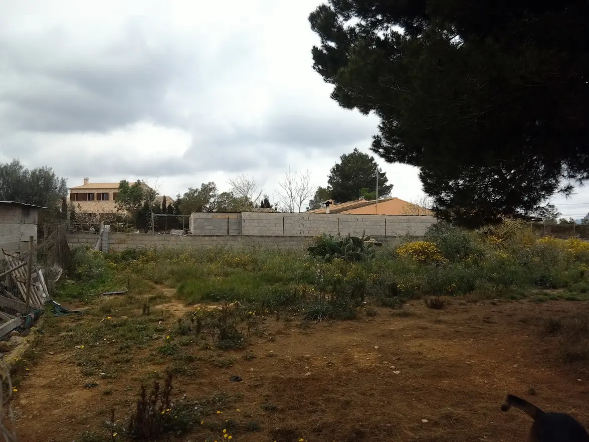 Vivienda en Algaida