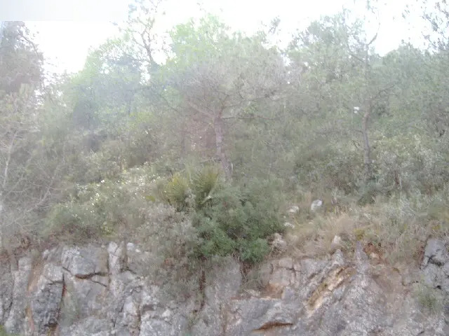 Terreno en Canyelles