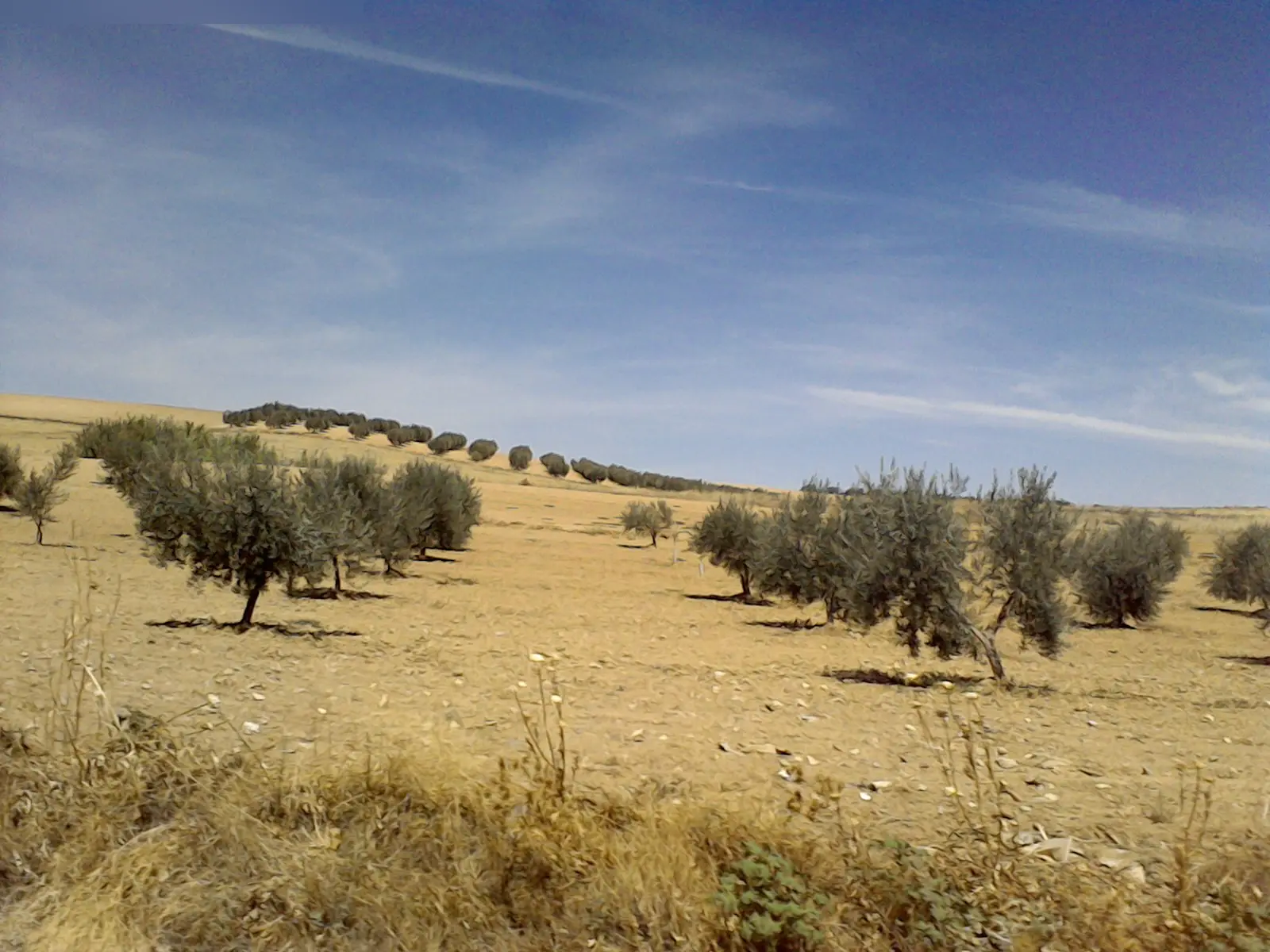 Finca rústica en Villasequilla