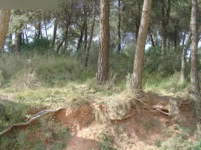 Terreno en Castellbell i el Vilar