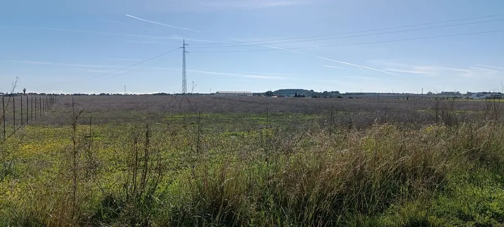 Finca rústica en El Puerto de Santa María