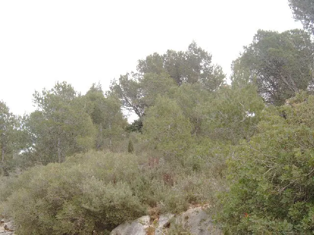 Terreno en Canyelles