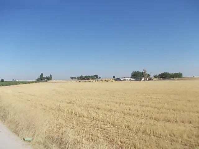 Finca rústica en Manzanares