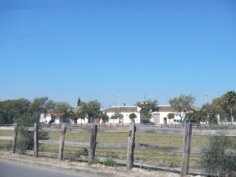 Finca rústica en Los Palacios y Villafranca