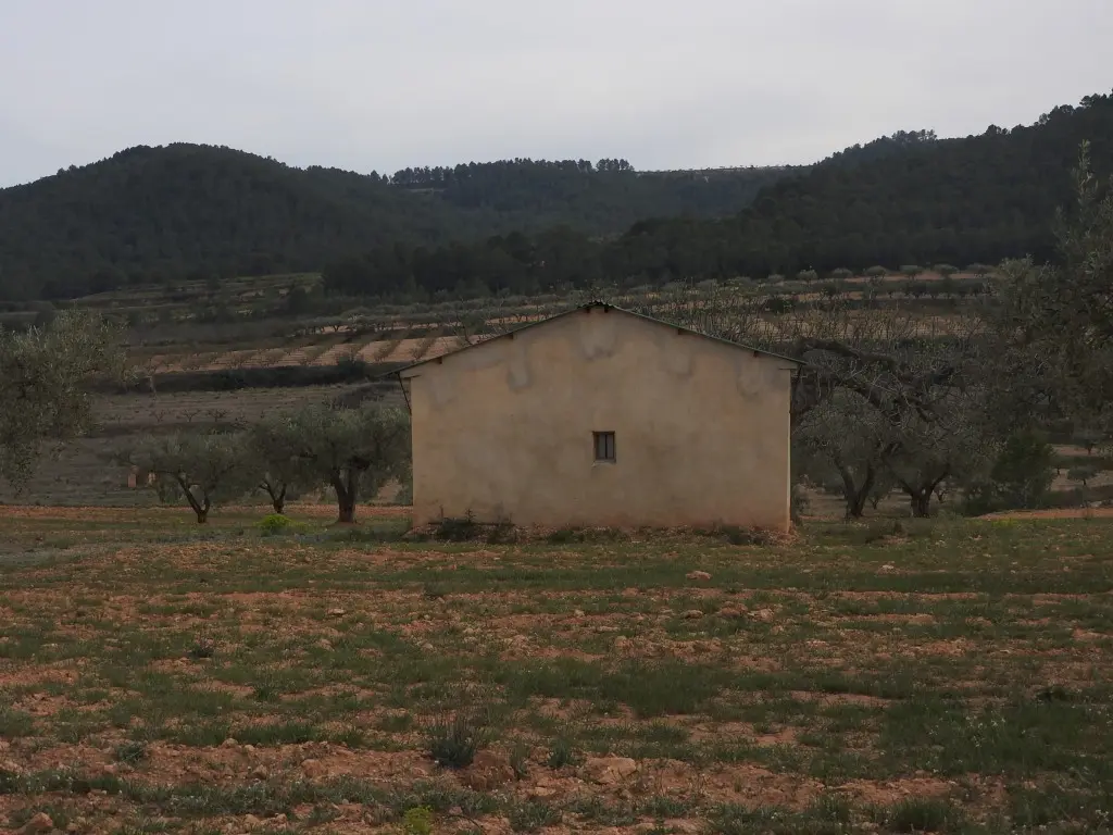 Finca rústica en Moixent