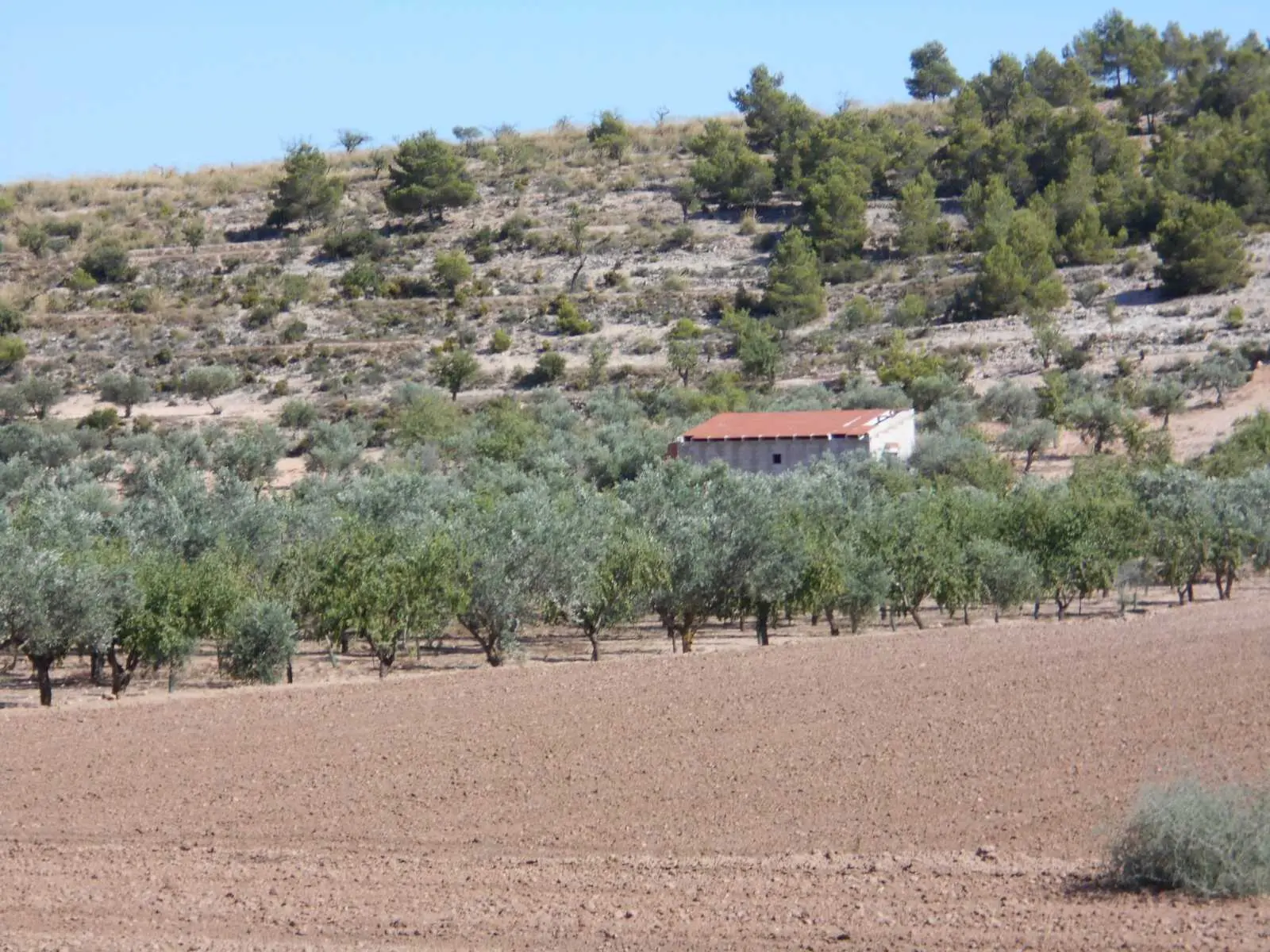 Finca rústica en Caudete