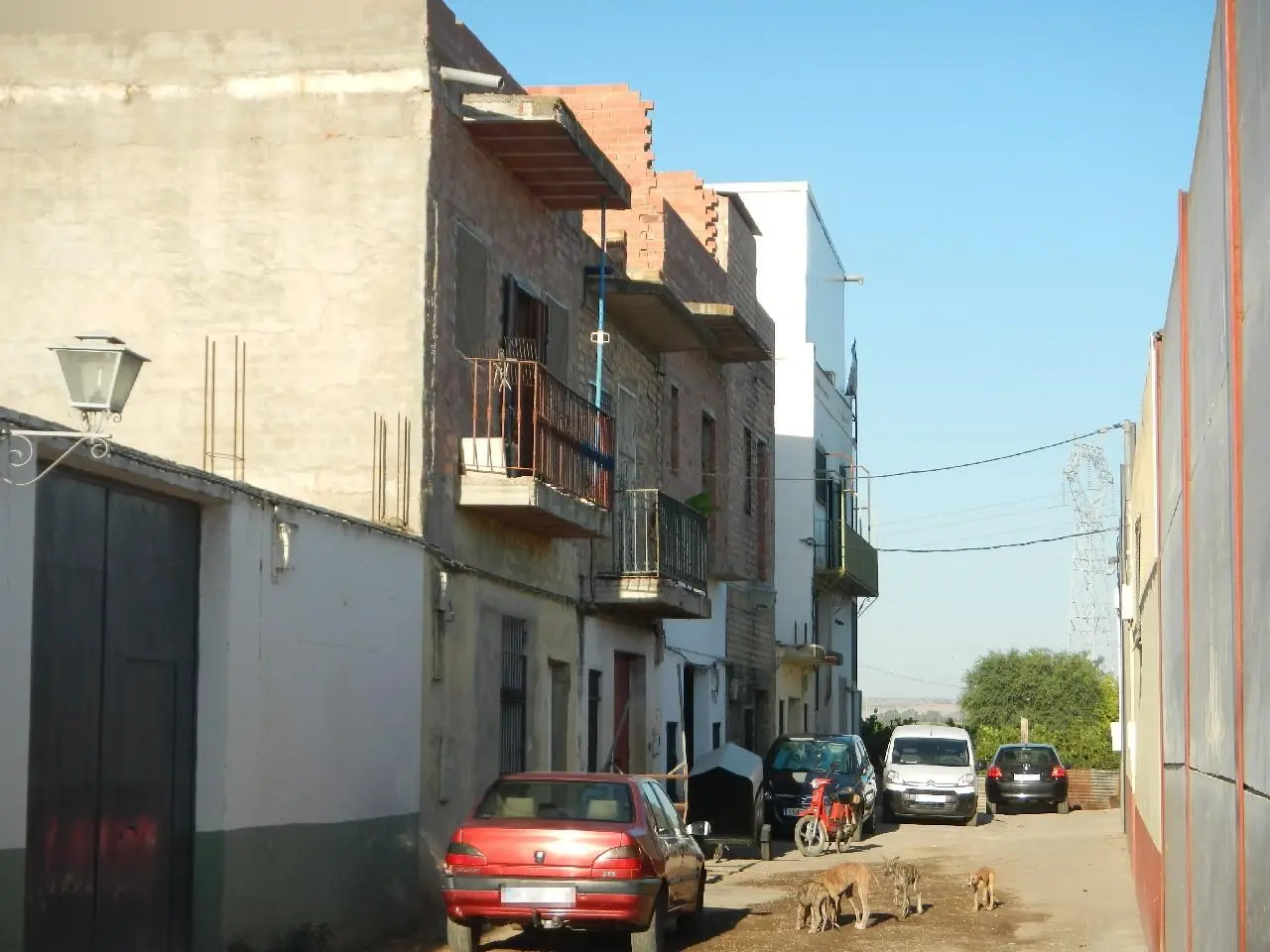 Finca rústica en La Algaba