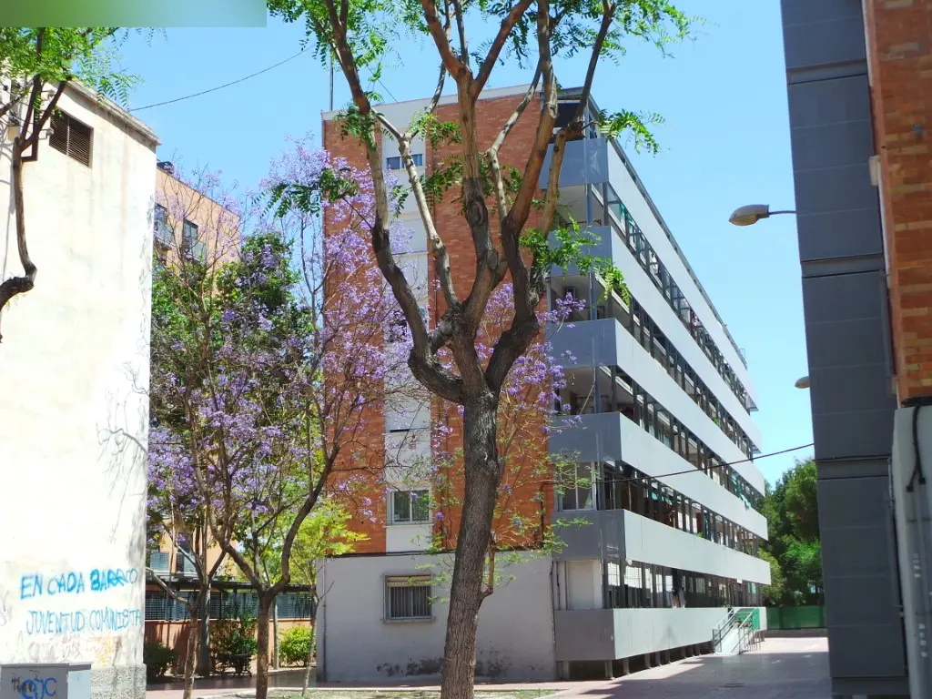 Vivienda en San Vicente del Raspeig