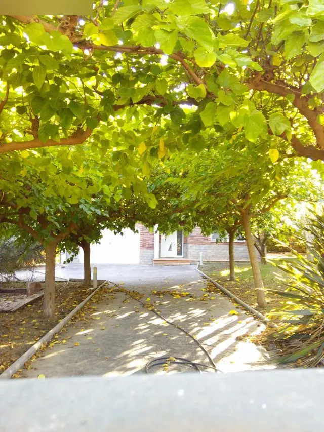 Vivienda en L'Albiol