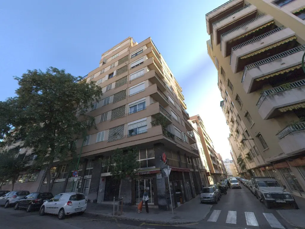 Local en Palma