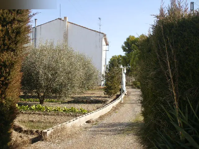 Vivienda en Bell-lloc d'Urgell