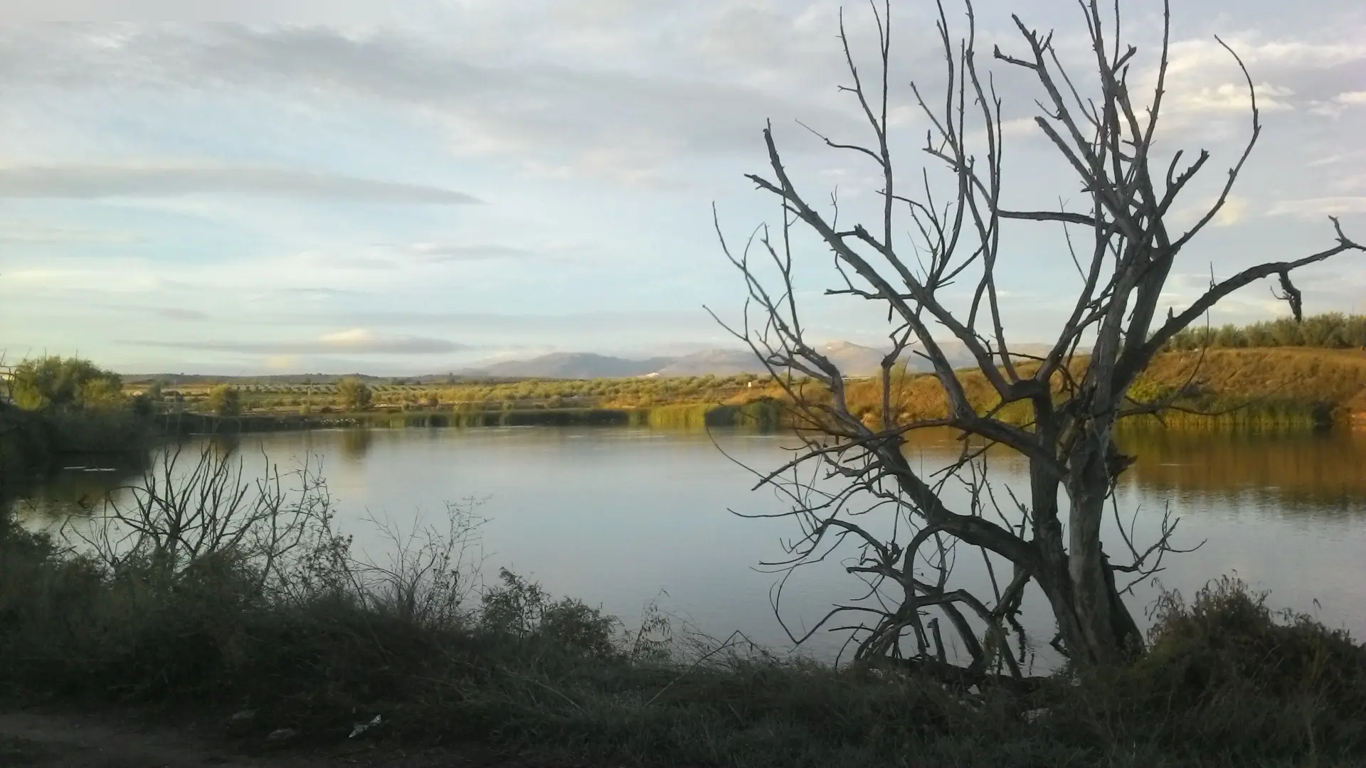 Finca rústica en Moraleda de Zafayona