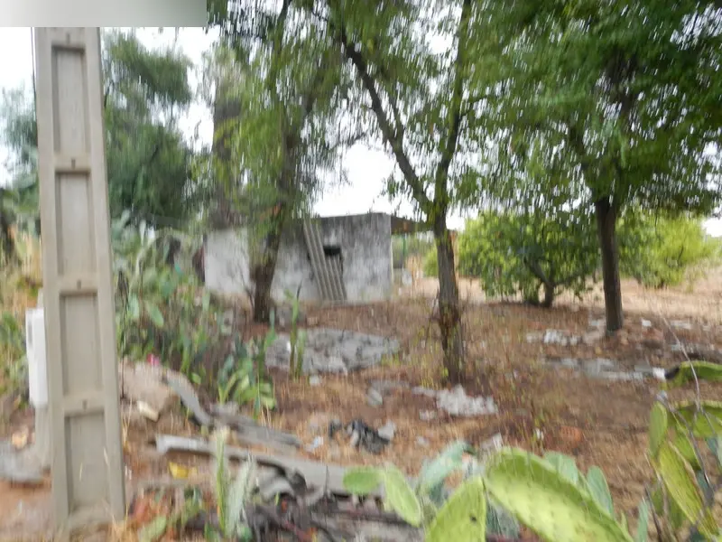 Finca rústica en Sanlúcar la Mayor