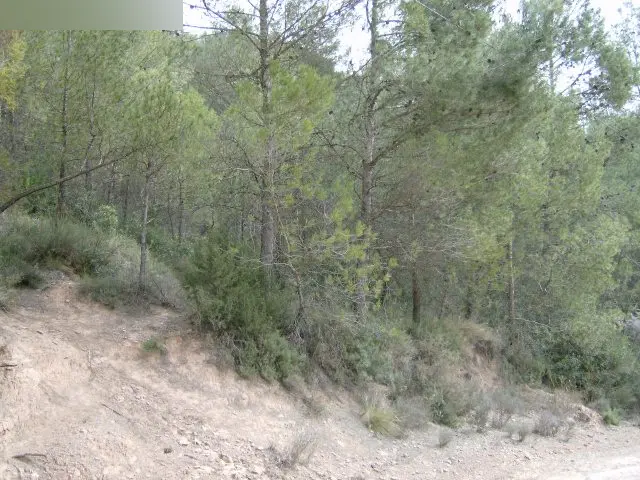 Terreno en Fonollosa