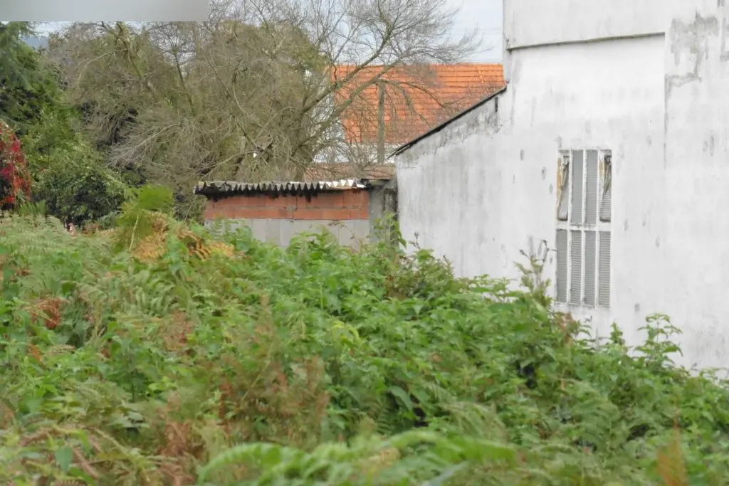 Finca rústica en Ferrol