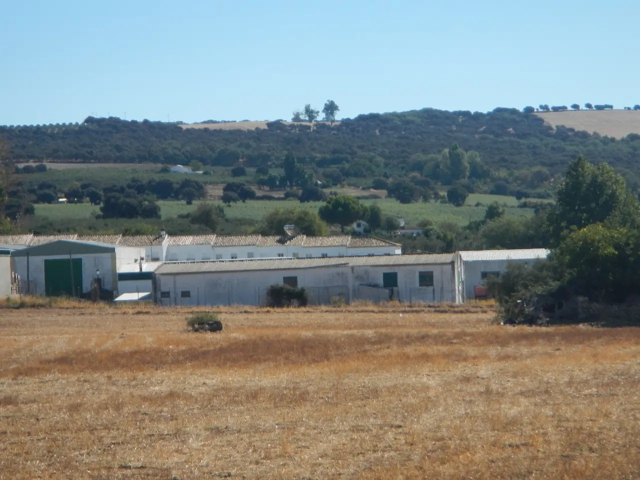 Finca rústica en Setenil de las Bodegas
