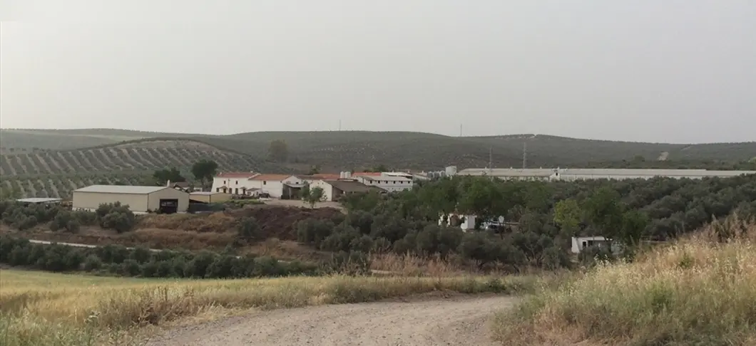 Finca rústica en Linares