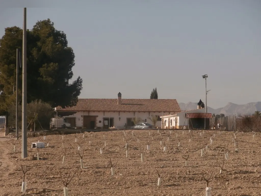 Finca rústica en Cieza