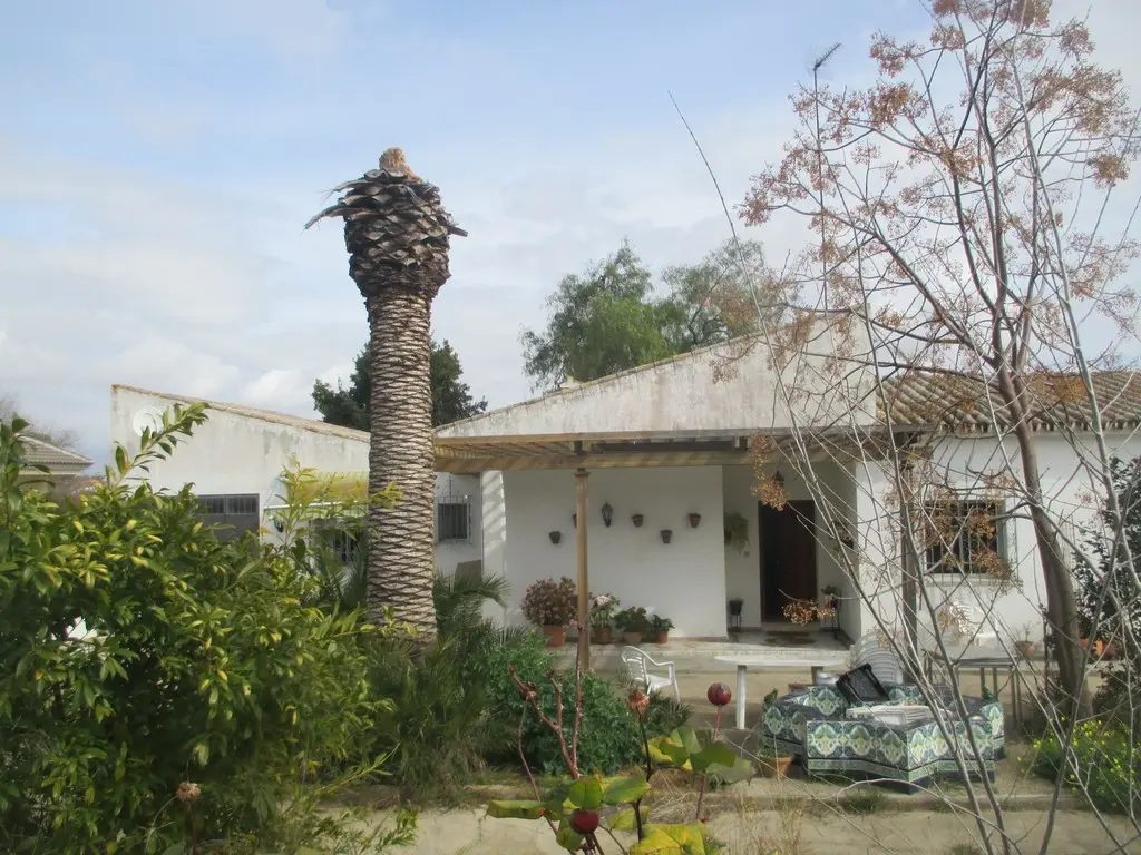 Vivienda en Rociana del Condado