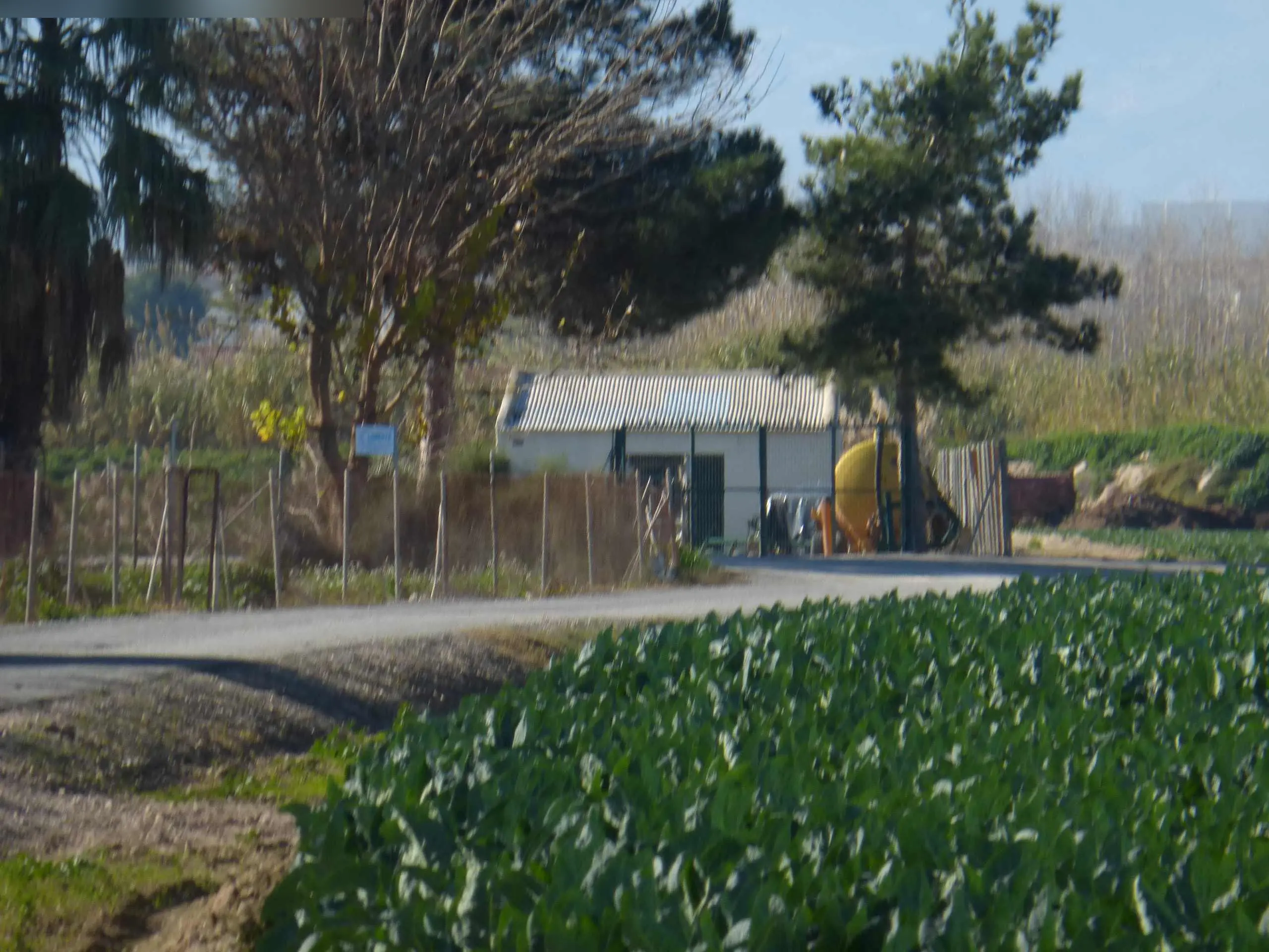 Finca rústica en Molina de Segura