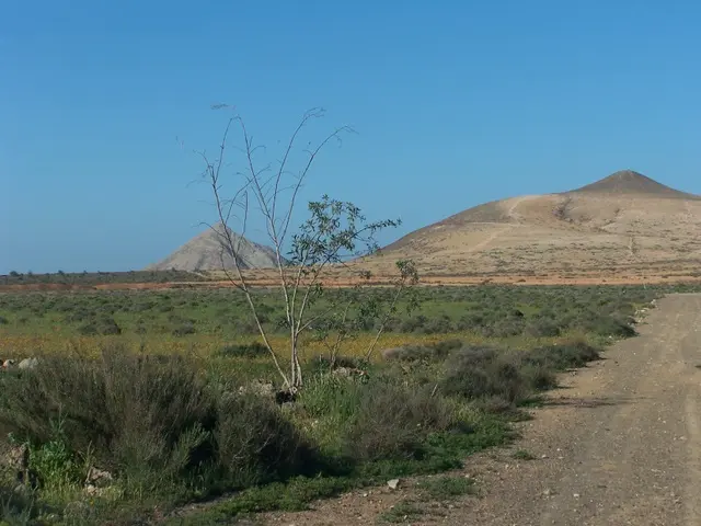 Finca rústica en La Oliva