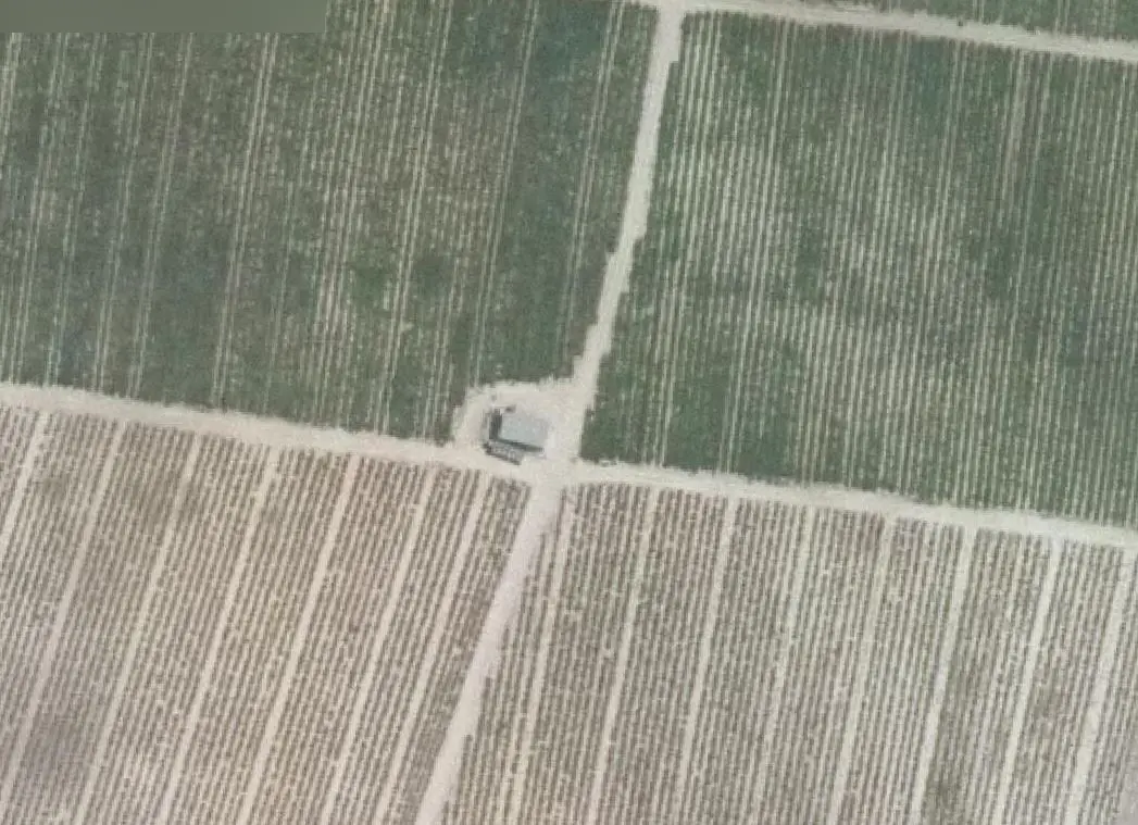 Finca rústica en San Miguel de Salinas
