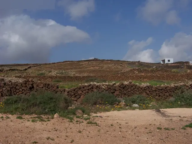 Finca rústica en La Oliva