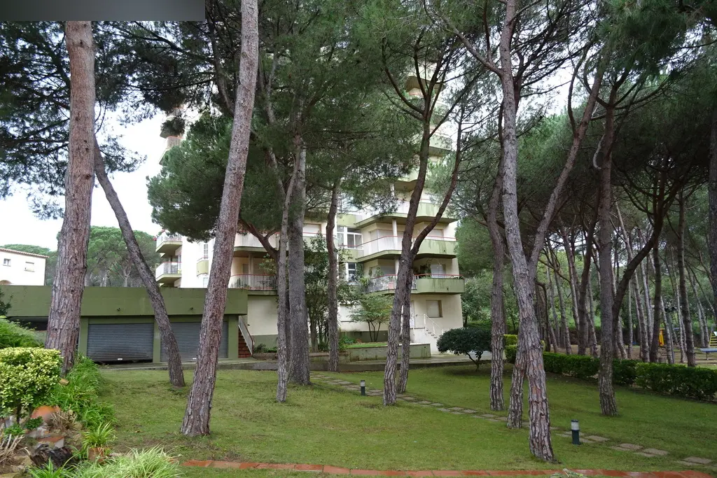 Local en Platja d'Aro i s'Agaró Castell d'Aro