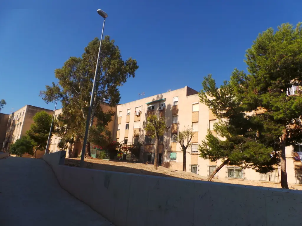 Local en Alacant