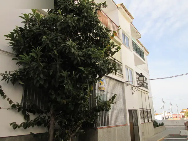 Vivienda en Palos de la Frontera