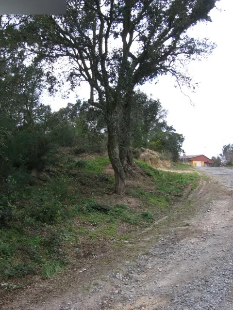 Terreno en Llagostera