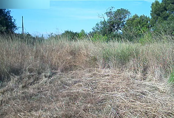 Terreno en Vilanova i la Geltrú