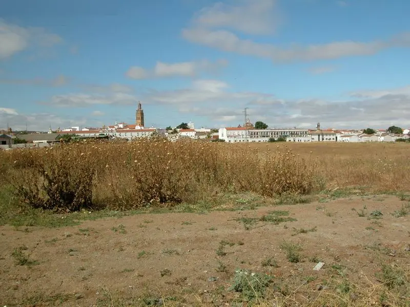 Terreno en Llerena