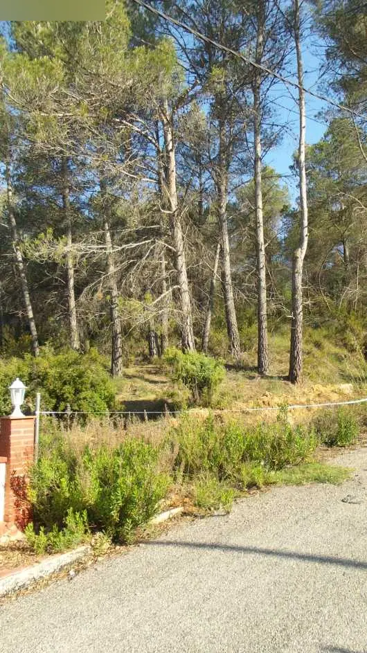 Terreno en El Montmell