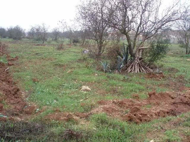 Finca rústica en Chiclana de la Frontera