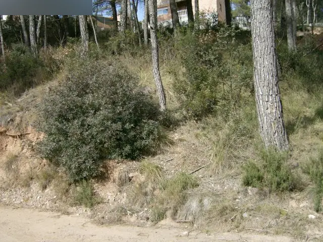 Terreno en Fonollosa