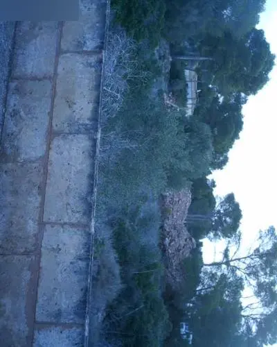 Terreno en Llucmajor