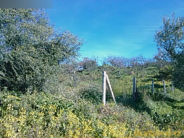 Terreno en Rincón de la Victoria