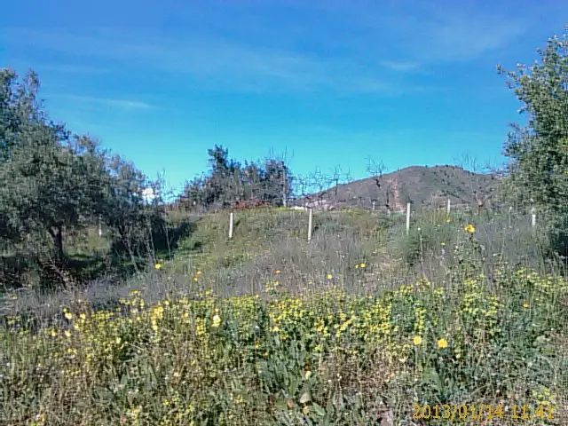 Terreno en Rincón de la Victoria