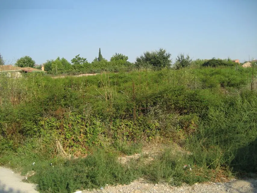 Terreno en Sariñena