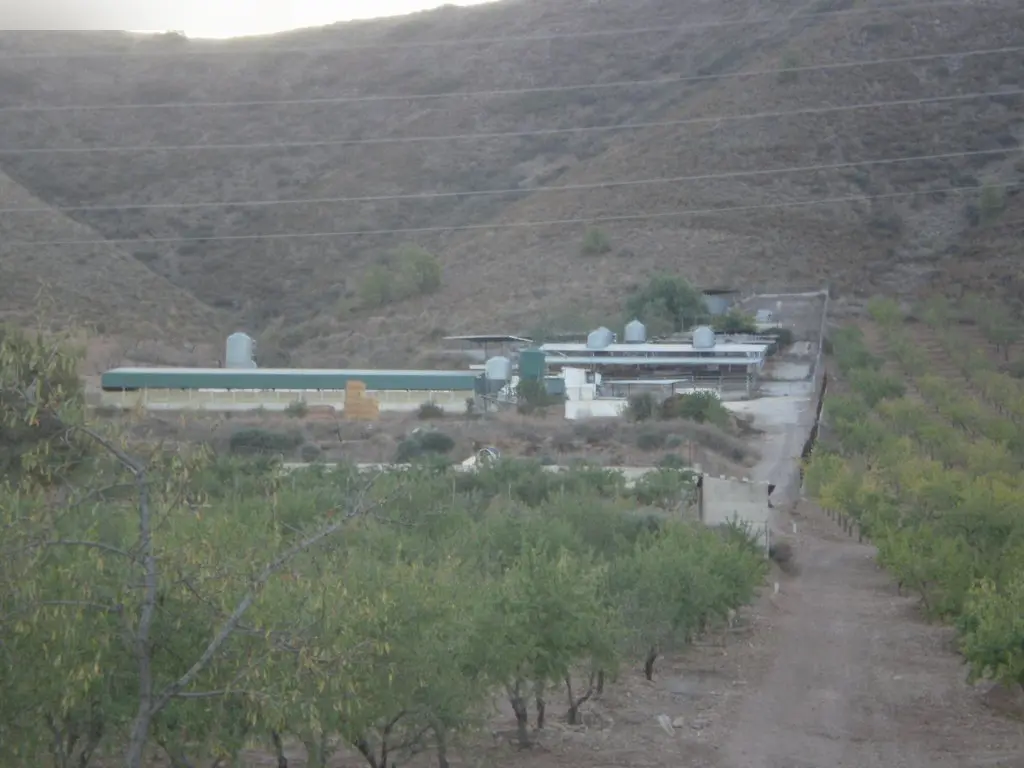 Nave en Lorca