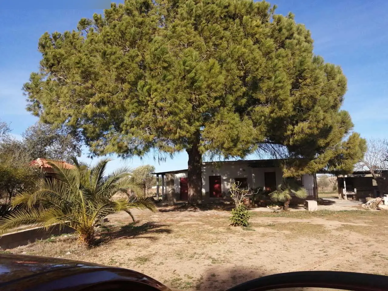 Finca rústica en La Pobla de Vallbona