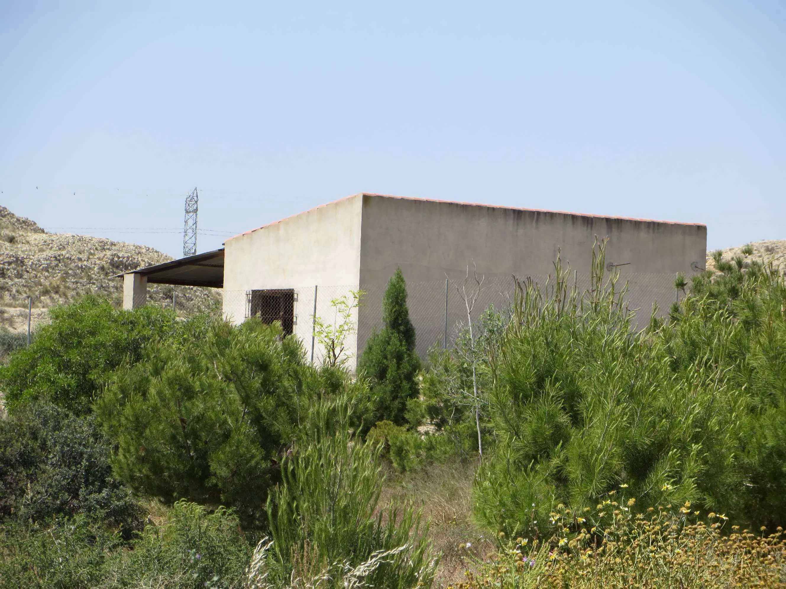 Finca rústica en Elche