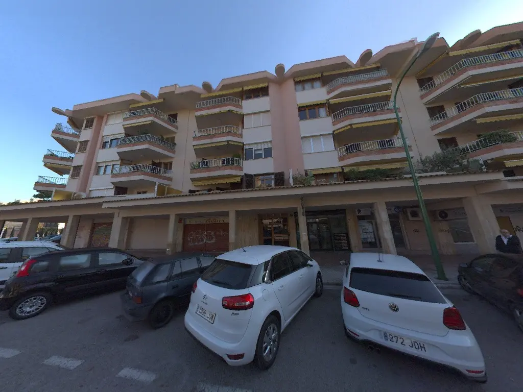Local en Palma