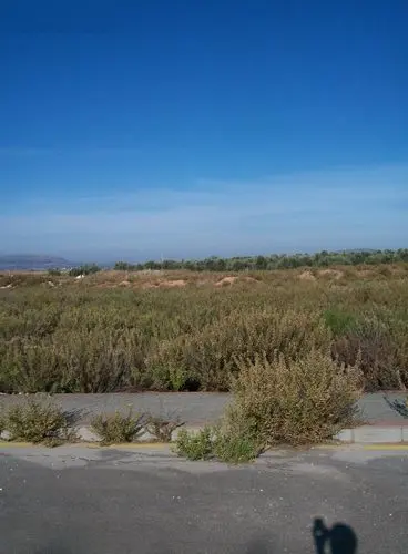 Terreno en Antequera
