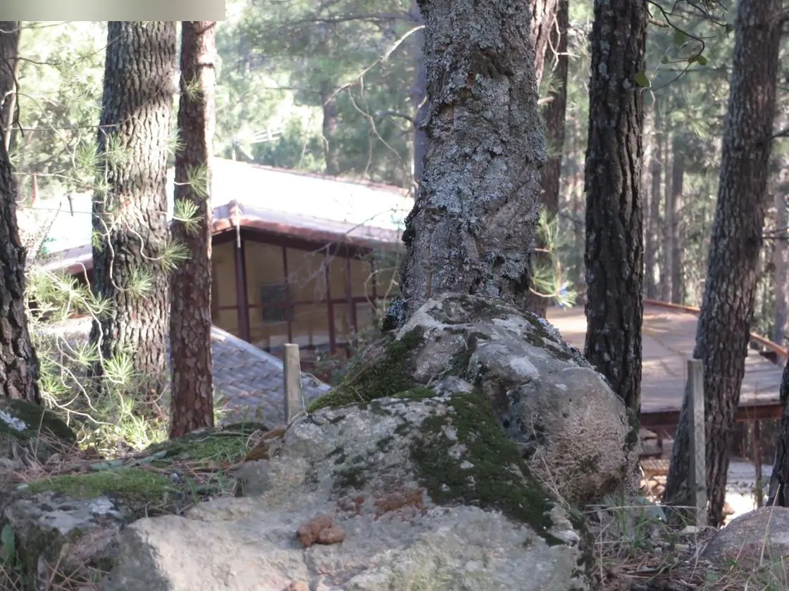 Finca rústica en Piedralaves