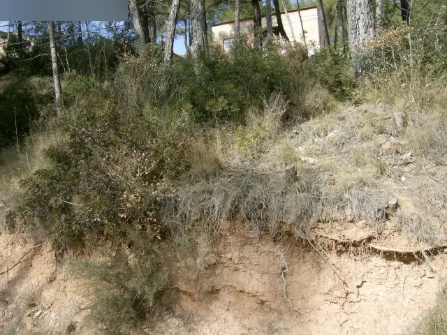 Terreno en Fonollosa